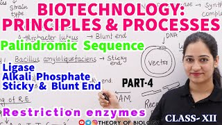 ENZYMES USED IN GENETIC ENGINEERINGPART4 PALINDROMIC SEQUENCE NEET 2025BIOTECHNOLOGY [upl. by Russom]