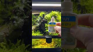 Why Am I Crushing Rocks Into My Paludarium youtubeshort fyp paludarium [upl. by Louis]