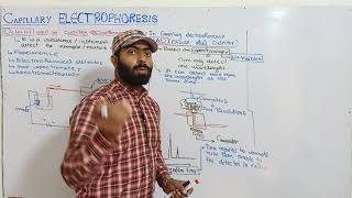 Part7 Capillary electrophoresis  Detectors used in Capillary electrophoresis  Electrophoresis [upl. by Eibrad]