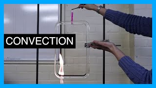 Convection Current  GCSE Physics Practical [upl. by Ridley956]