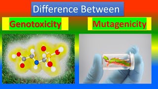 Difference Between Genotoxicity and Mutagenicity [upl. by Jane]