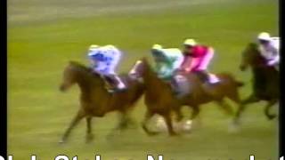 1981 Jockey Club Stakes Newmarket Master Willie Henbit Full Race [upl. by Ahteral525]