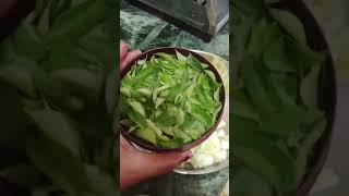 Amla Juice For Weight Loss Immunity Hair Growth  Vit C Rich Amla Drink ShortsAmlaJuice Viral [upl. by Cello429]