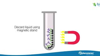 How to Isolate Proteins and Peptides with Streptavidin Magnetic Beads [upl. by Ardnaeed]