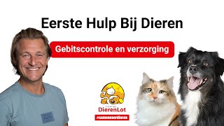 Gebitscontrole en verzorging bij je huisdier [upl. by Aened]