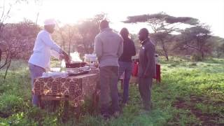 Serengeti Acacia Camps [upl. by Schnorr]