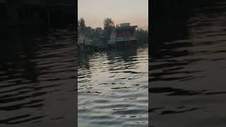 Dal Lake in Srinagar [upl. by Etnemelc]