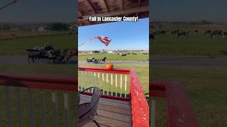 View from Red Caboose Motel Porch Lancaster County PA autumn amish lancaster pennsylvania [upl. by Sivraj]