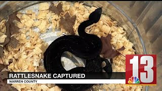 Encon officers capture snake at Lake George hotel [upl. by Eiramenna361]