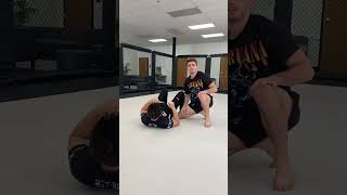 Andrew Tackett Cartwheel Gator Roll Pass bjj capoiera [upl. by Luke]