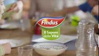 FINDUS spot quotil capitanoquot marzo 2014 [upl. by Adiahs447]