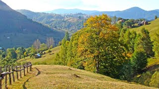 A venit pe dealuri toamna  Cantec de toamna pentru copii [upl. by Esertal]