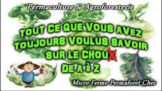 🌱 LE CHOU EN PERMACULTURE ATOUT SANTÉ AU JARDIN POTAGER DOCUMENTAIRE NATURE Semis Plantation [upl. by Rellim814]