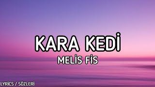 Melis Fis  Kara Kedi Lyrics  Sözleri [upl. by Arhez]