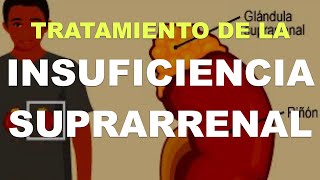 Tratamiento de la Insuficiencia Suprarrenal Primera Parte [upl. by Dolph]