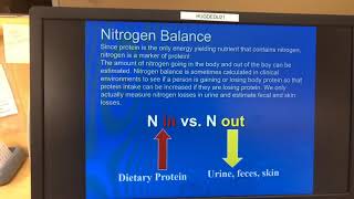 Homeostasis  How Your Body Keeps its Balance  Physiology Series [upl. by Bennink]