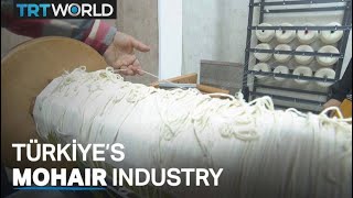 Turkish mohair industry gets weaving [upl. by Yukio]