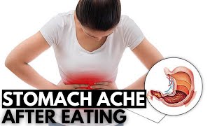 Digestive Drama The Science Behind Stomach Aches After Eating [upl. by Rosenfeld]