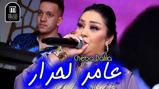 Cheba Dalila 2024 Stafi 🔥 عامر لحرار [upl. by Josi]