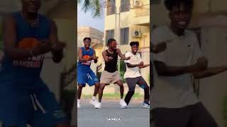 Incredible Zigi New Dance Videos with Afrozig [upl. by Arivle880]