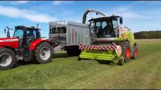 Claas Jaguar 970  Massey Ferguson 7480 [upl. by Olyhs]