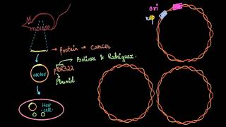 Parts of cloning vector ori rop cloning site markers  Biotechnology  Biology  Khan Academy [upl. by Jarrad]