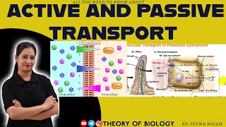 ACTIVE AND PASSIVE TRANSPORTATIONFUNCTION OF CELL MEMBRANEBIOLOGY XI NCERTCSIRLIFE SCIENCEPGT [upl. by Gnoc962]