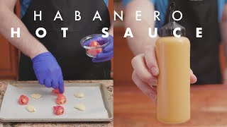 Habanero Hot Sauce Recipe [upl. by Anined514]