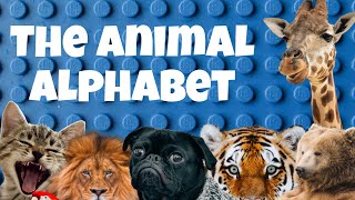 The Animal Alphabet  Its A Wonderful Day  Childrens Educational Singalong Song [upl. by Malilliw769]