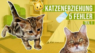 5 Fehler in der Katzenerziehung 😺🍼 Katzenbaby richtig erziehen  Amely Rose amp CatWalk [upl. by Egarton604]