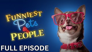 Things You Dont See Everyday  Funniest Pets and People  Season 4  Episode 07 [upl. by Petes]