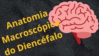 ANATOMIA MACROSCÓPICA DO DIENCÉFALO [upl. by Libnah]