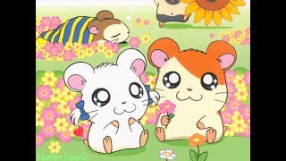 HAMTARO OPENING THEME IN HINDI [upl. by Odnomor]