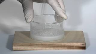 The Endothermic Reaction between Barium Hydroxide and Ammonium Thiocyanate [upl. by Gnod329]