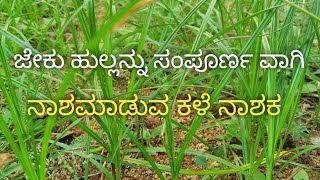 ಜೇಕುತುಂಗೆಕಳೆ ನಾಶಕ Nutgrass herbicide  cyperus rotundus by ksrchannel [upl. by Leahcimnaes]