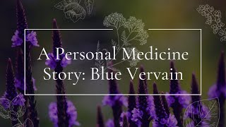 A Personal Medicine Story Blue Vervain [upl. by Gnat190]