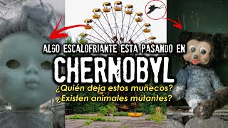 Algo extraño está pasando en Chernobyl  Aparecen estos muñecos [upl. by Trovillion]