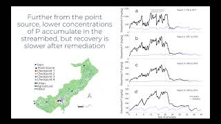 Evaluating the Longevity of InStream P Legacies Recovery Following Point Source Remediation [upl. by Gabriello]