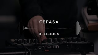 Cepasa — Delicious Stage 13 [upl. by Jonme650]