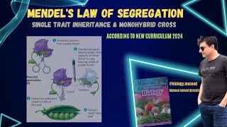 Mendelian genetics II  Law of Segregation amp Monohybrid cross  Bio Grade 11  Urdu Hindi English [upl. by Mazur539]