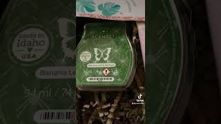 Scentsy whiff box January 2023 [upl. by Rudiger]