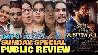 Animal Day 3 PUBLIC REVIEW  Third Day Sunday Special  Ranbir Kapoor Bobby Deol Anil Kapoor [upl. by Anaicilef]