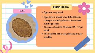 MICROBIOLOGY AND PARASITOLOGY  METAGONIMUS YOKOGAWAI [upl. by Pris]