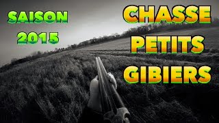 CHASSE Petit Gibier 2015 HD  Cocker Setter Epagneul [upl. by Mills]