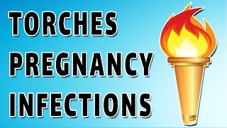 Torches Infections and Pregnancy [upl. by Leibman]