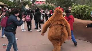 Disneyland Meet and Greet Baloo and King Louie from Junglebook  Disneyland Paris 2023 [upl. by Keifer702]