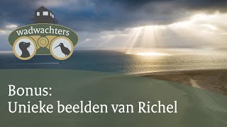 Unieke beelden van de zandplaat Richel in de Waddenzee  4K  Wadwachters  4 [upl. by Vernita227]