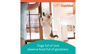 CANIDAE Pure Senior Recipe [upl. by Nisay37]