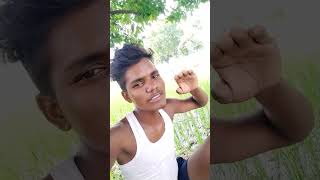 Mahaul badle wale bhojpuri song Golu gold [upl. by Katzir470]