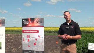 Monsanto Xtend Soybeans Headed to Ontario Growers [upl. by Kamat245]